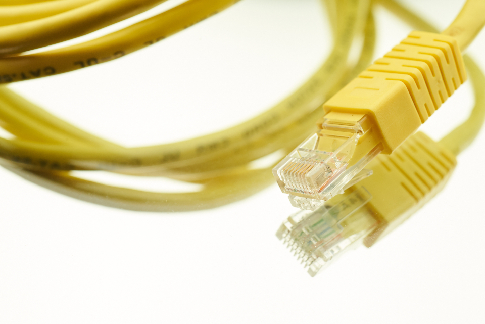 Network cables patched into enterprise infrastructure